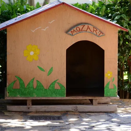 Mozart House *