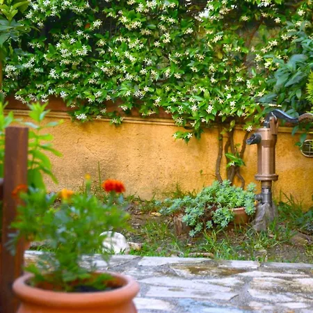 Mozart House Amarynthos
