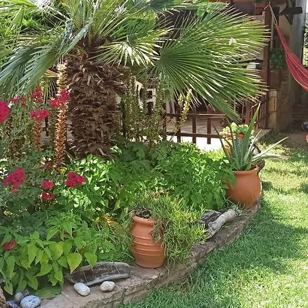 Mozart House Lejlighed Amarynthos