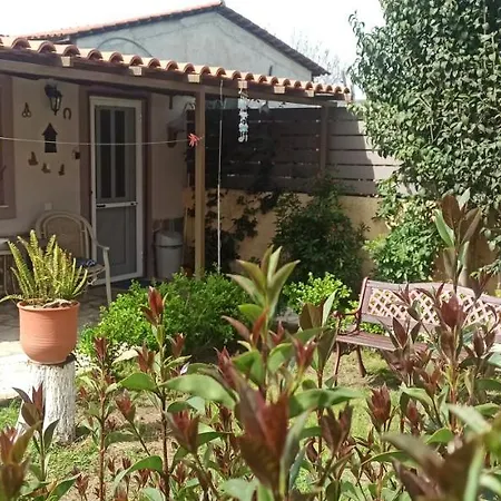 Mozart House Apartamento Amarinto