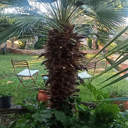 شقة Mozart House أمارنثوس