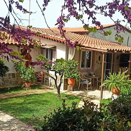 Apartment Mozart House Amarynthos