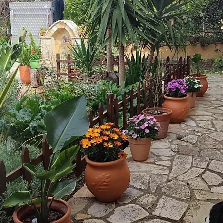 Mozart House Amarynthos