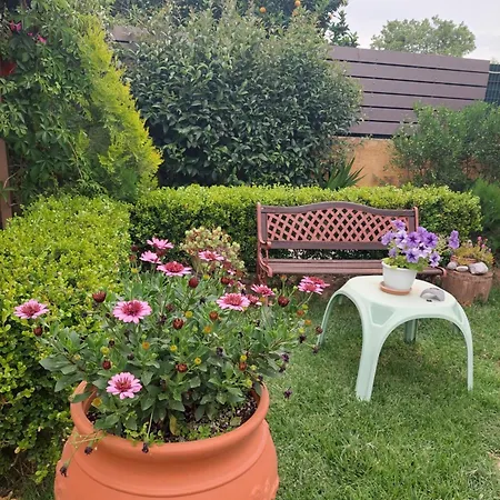 Mozart House شقة *