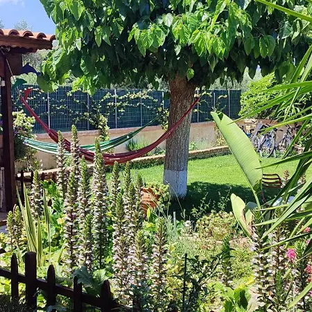 Mozart House Apartamento Amarinto